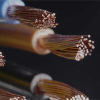 Cableado